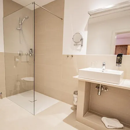 Hotel Wilder Mann 3*