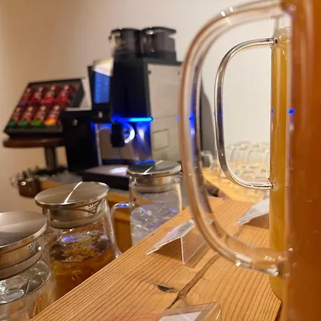 维尔德曼恩酒店 施泰纳赫布伦纳