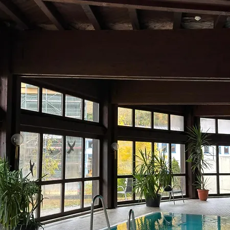 Wilder Mann Hotel 3*