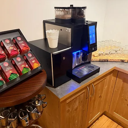 Wilder Mann Ξενοδοχείο Steinach am Brenner