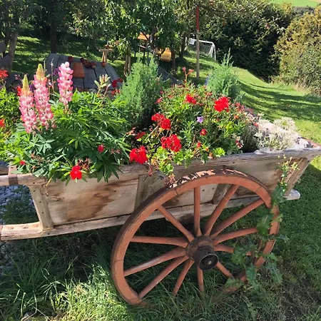 Hotel Wilder Mann Steinach am Brenner