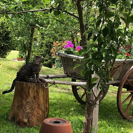 Wilder Mann Steinach am Brenner