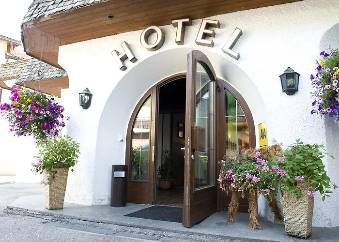 Hotel Wilder Mann 3*