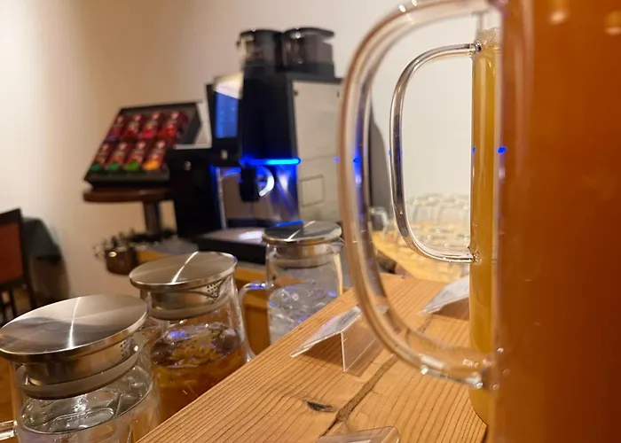 维尔德曼恩酒店 施泰纳赫布伦纳