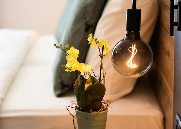 Hotel Wilder Mann 3*