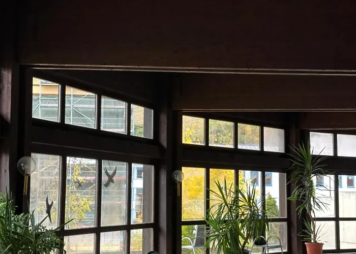 Wilder Mann Hotel 3*