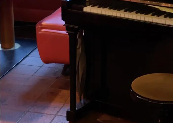 维尔德曼恩酒店 酒店 施泰纳赫布伦纳