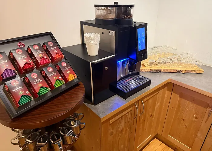 维尔德曼恩酒店 酒店 施泰纳赫布伦纳