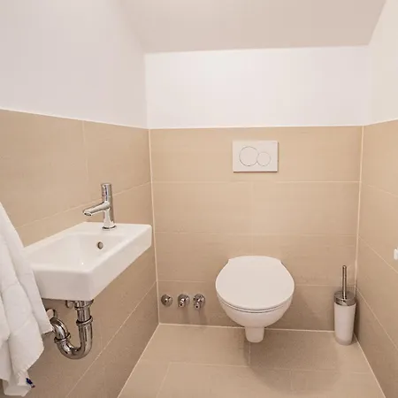 Wilder Mann Hotel 3*