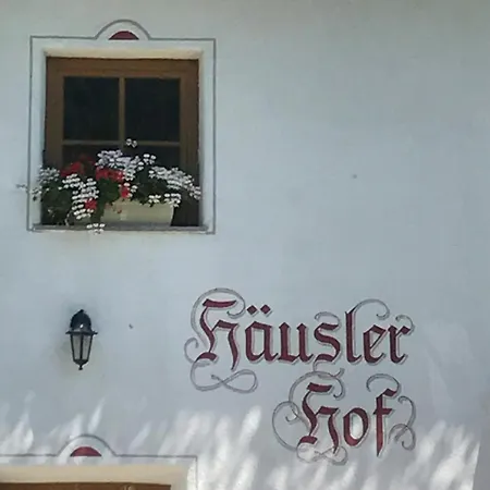 Wilder Mann Steinach am Brenner