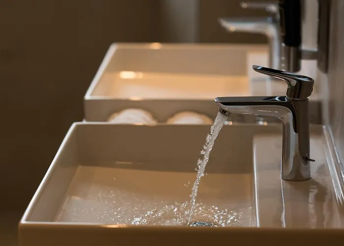 מלון Wilder Mann