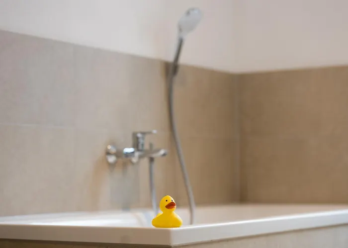 Wilder Mann Steinach am Brenner