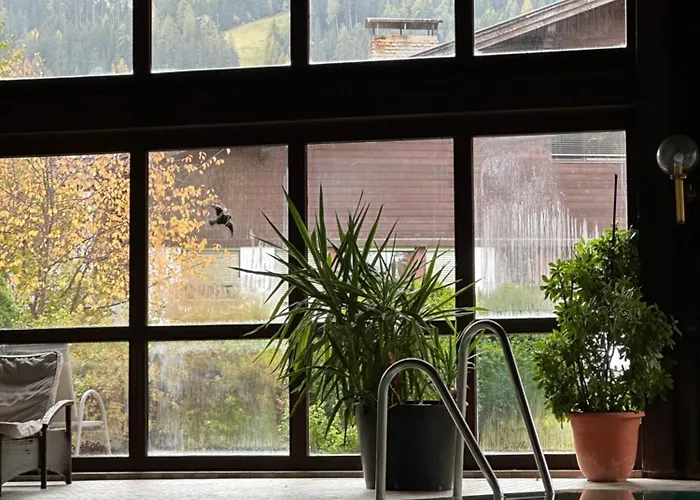 Hotel Wilder Mann 3*